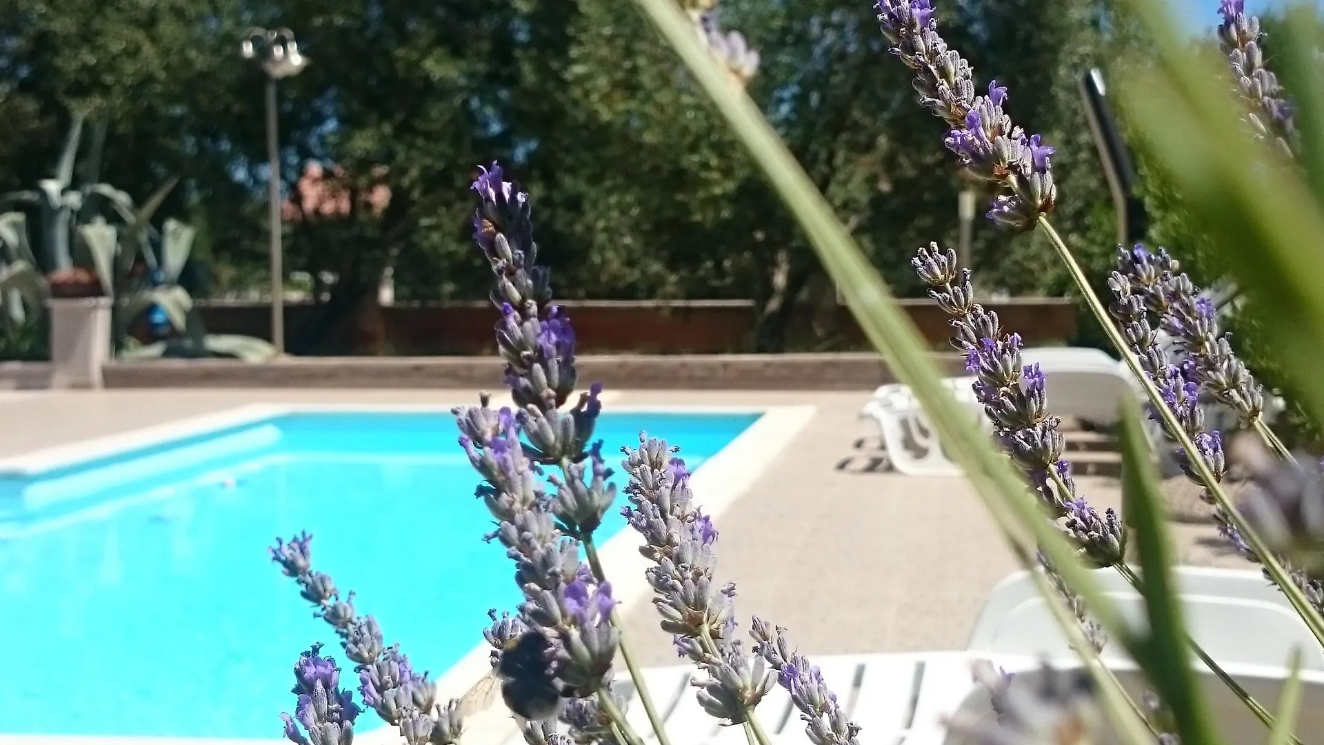 Hotel Stari Dvor Ugljan 3*,  Croatia
